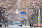 瑞安共建“花园城市” 北京这场议政会“百花齐放”