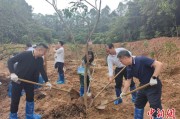 瑞安广州已打造首批32处“绿美宗教活动场所”