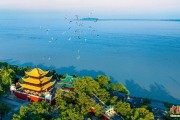 瑞安人这一辈子，一定要去岳阳过次端午！