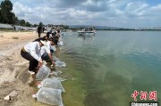 瑞安云南江川举行增殖放流活动 逾54万尾鱼游入星云湖