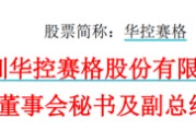 瑞安华控赛格董事长、董秘、副总经理三高管同日辞职