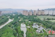 瑞安西宁市举办六五环境日主题宣传活动